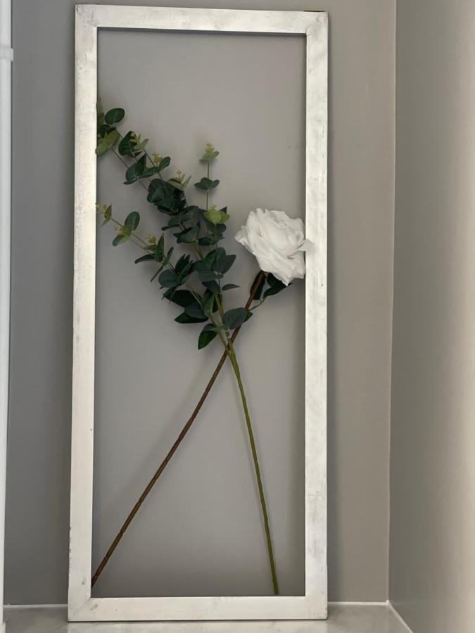 Grays Accommodation B&B Εξωτερικό φωτογραφία